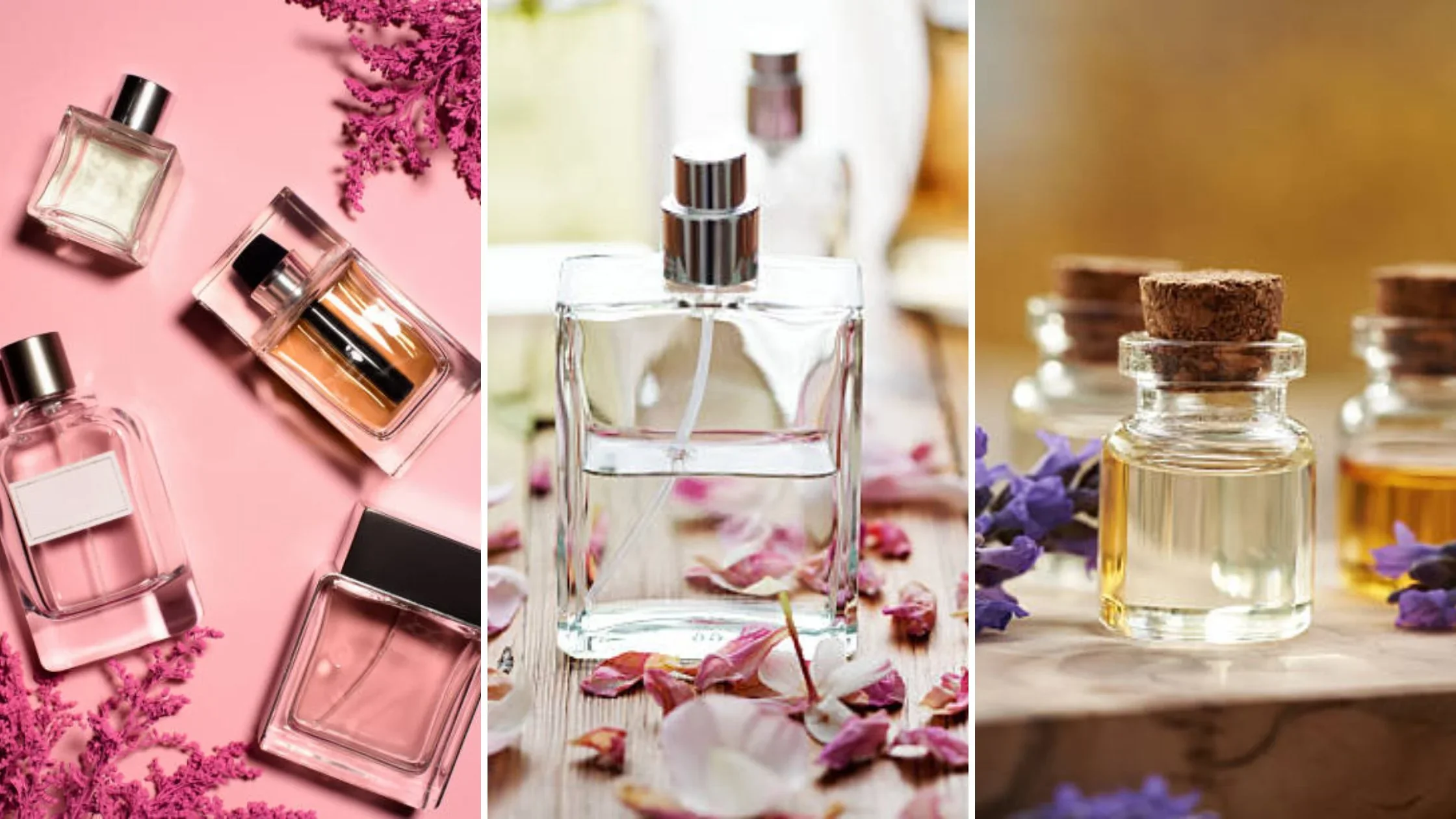 Fragrance Families Explained