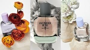 Best Zara Perfumes for Winter 2026