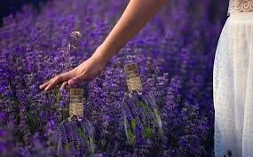 How Fragrance Boosts Mental Well-Being