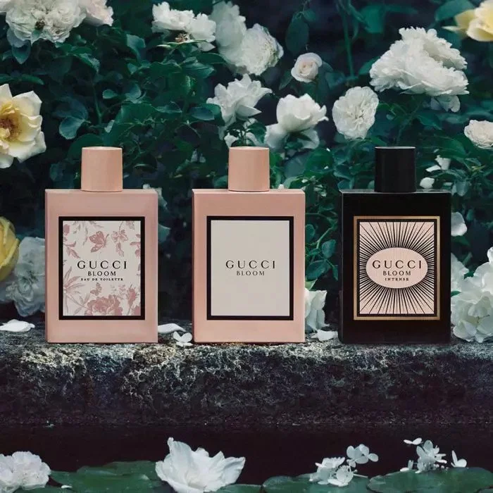 Yves Saint Laurent Black Opium vs Gucci Bloom