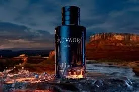 Best Budget Perfumes for Men