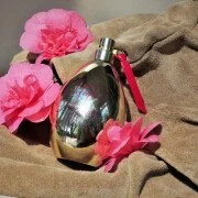 Agent Provocateur Maitresse