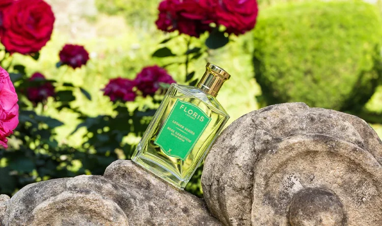 Best geranium fragrance for men
