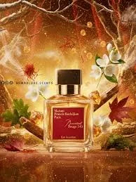 Maison Francis Kurkdjian Grand Soir vs Amouage Interlude Man