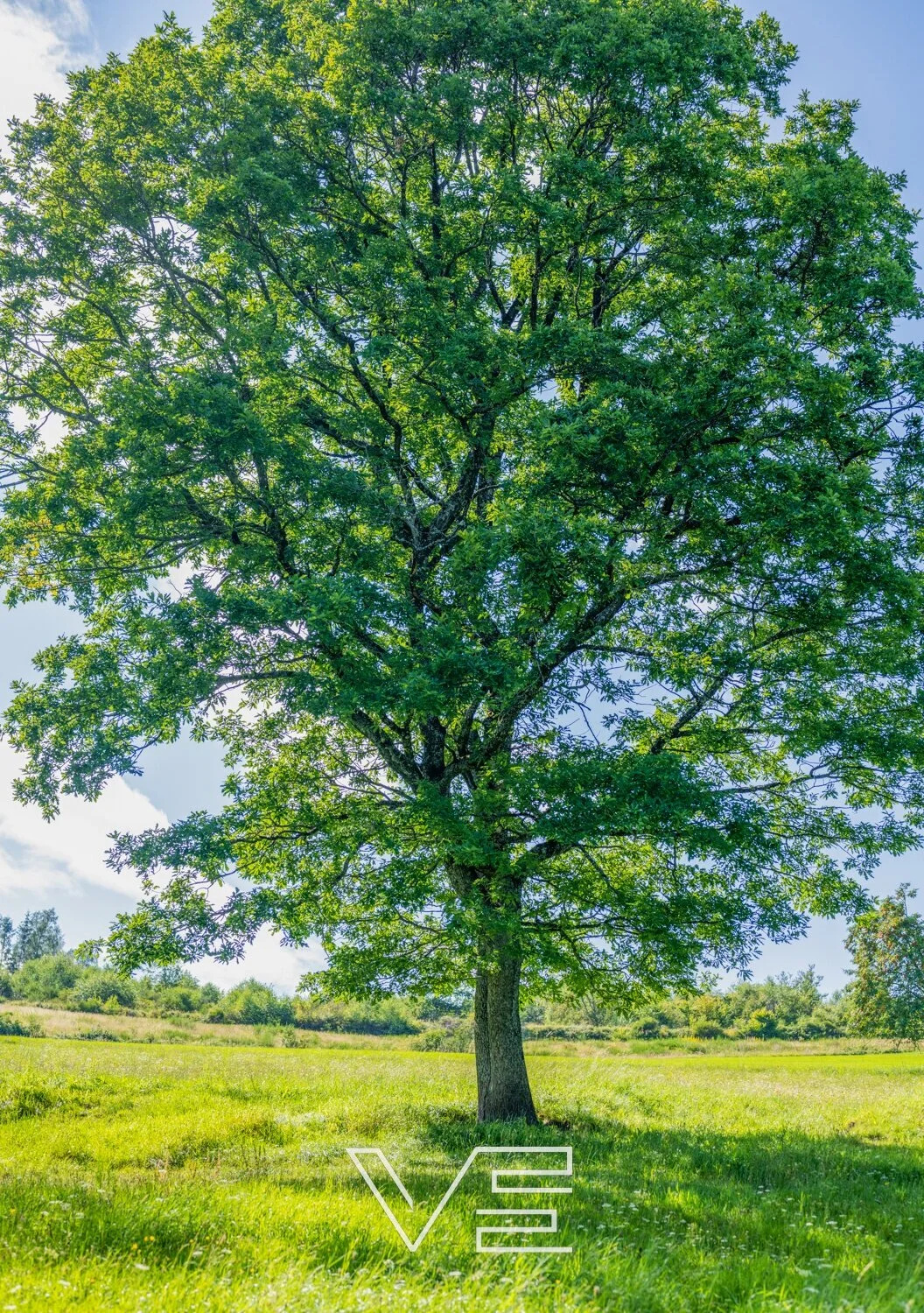 For sale now as a print!