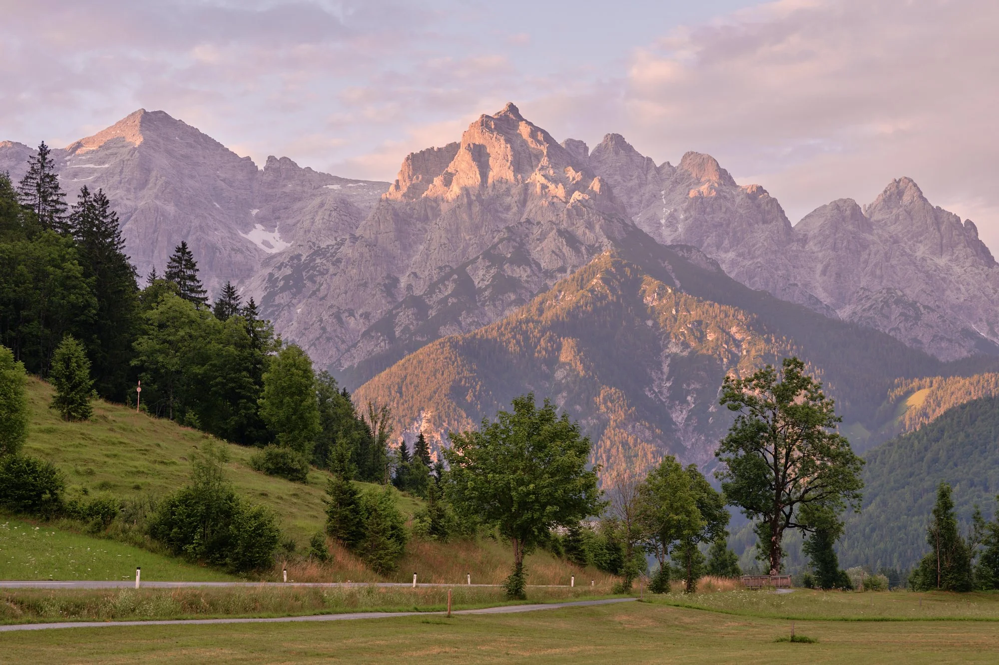 A peaceful mountain landscape with lush green trees and grass in the foreground, and tall, rugged mountains partly covered with snow in the background under a pastel-colored sky.