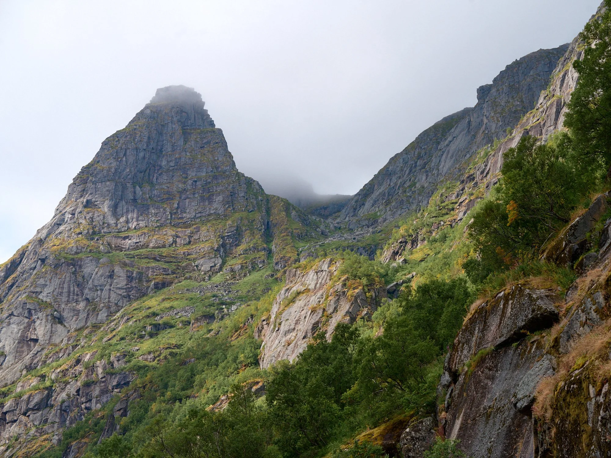 Majestic mountain peak partially covered by mist, surrounded by lush green trees and rocky terrain.