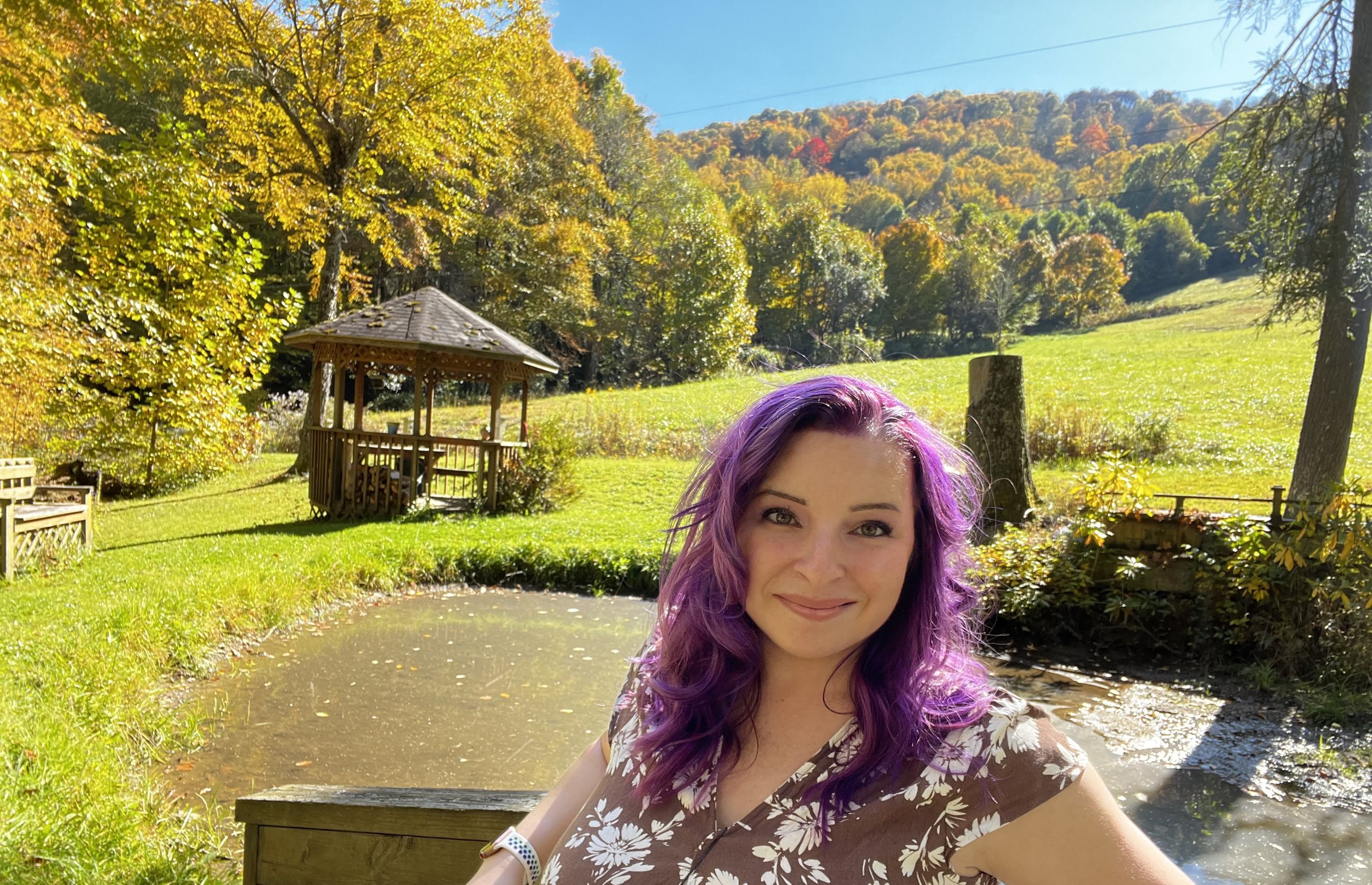 Website author Dani Eaton sitting with Appalachian mountains in background. Non POC. Purple hair. Brown dress with white flowers.