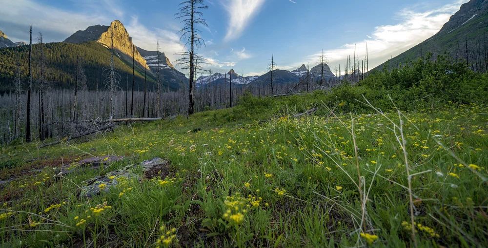 Patients — BIG SKY CARE CONNECT