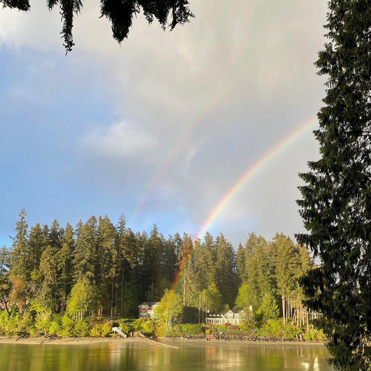 🌈🌈🌈 over Little Manzanita Bay for Pride Month. We are fighting to preserve the tranquility of the bay and prevent the building of deep water docks that will likely cause irreversible harm to its delicate ecosystems. Join us.

If you haven't alread