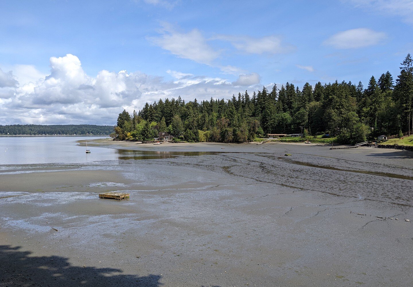Anyone else enjoying these super low tides? Great day for a walk tomorrow afternoon. We are fighting to preserve the tranquility of the bay and prevent the building of deep water docks that will likely cause irreversible harm to its delicate ecosyste