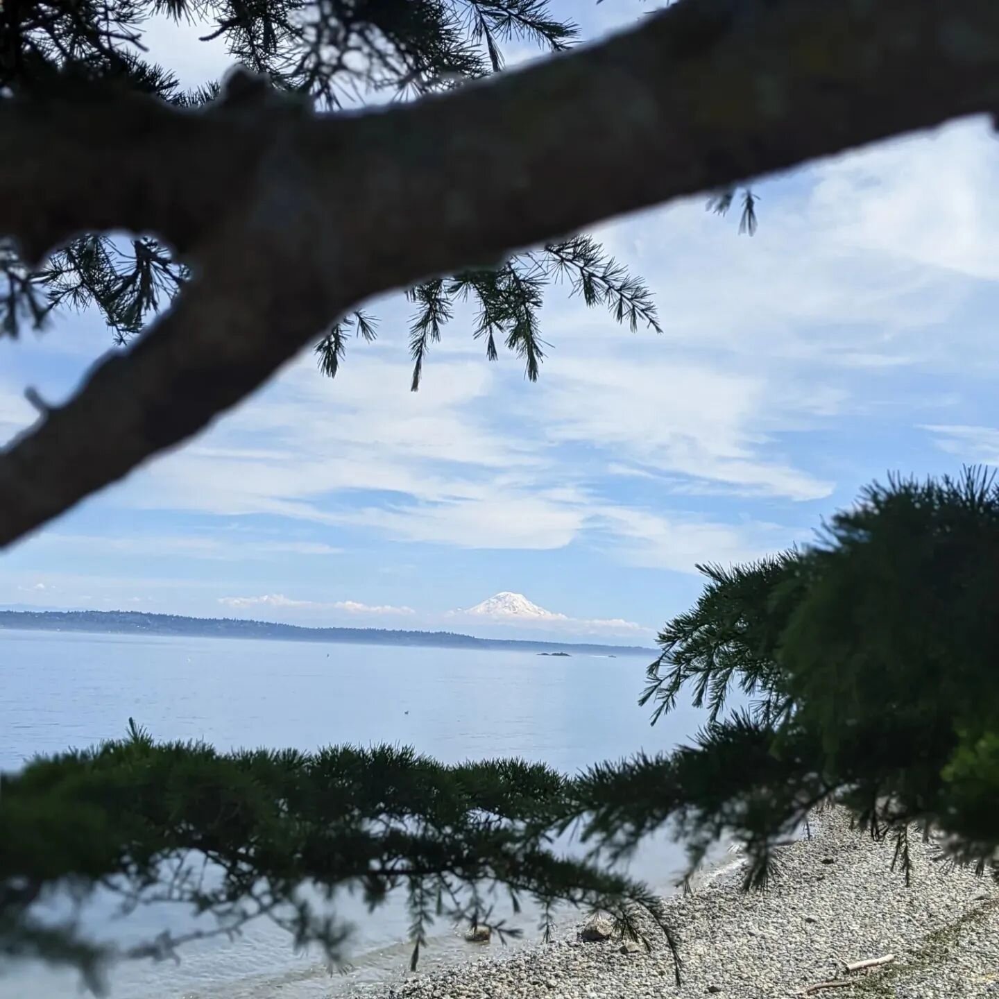 Mount Tahoma. Translates as 'the mother of waters'. We love these clear summer days when 'the mountain is out'.

We are fighting to preserve the tranquility of the bay and prevent the building of deep water docks that will likely cause irreversible h