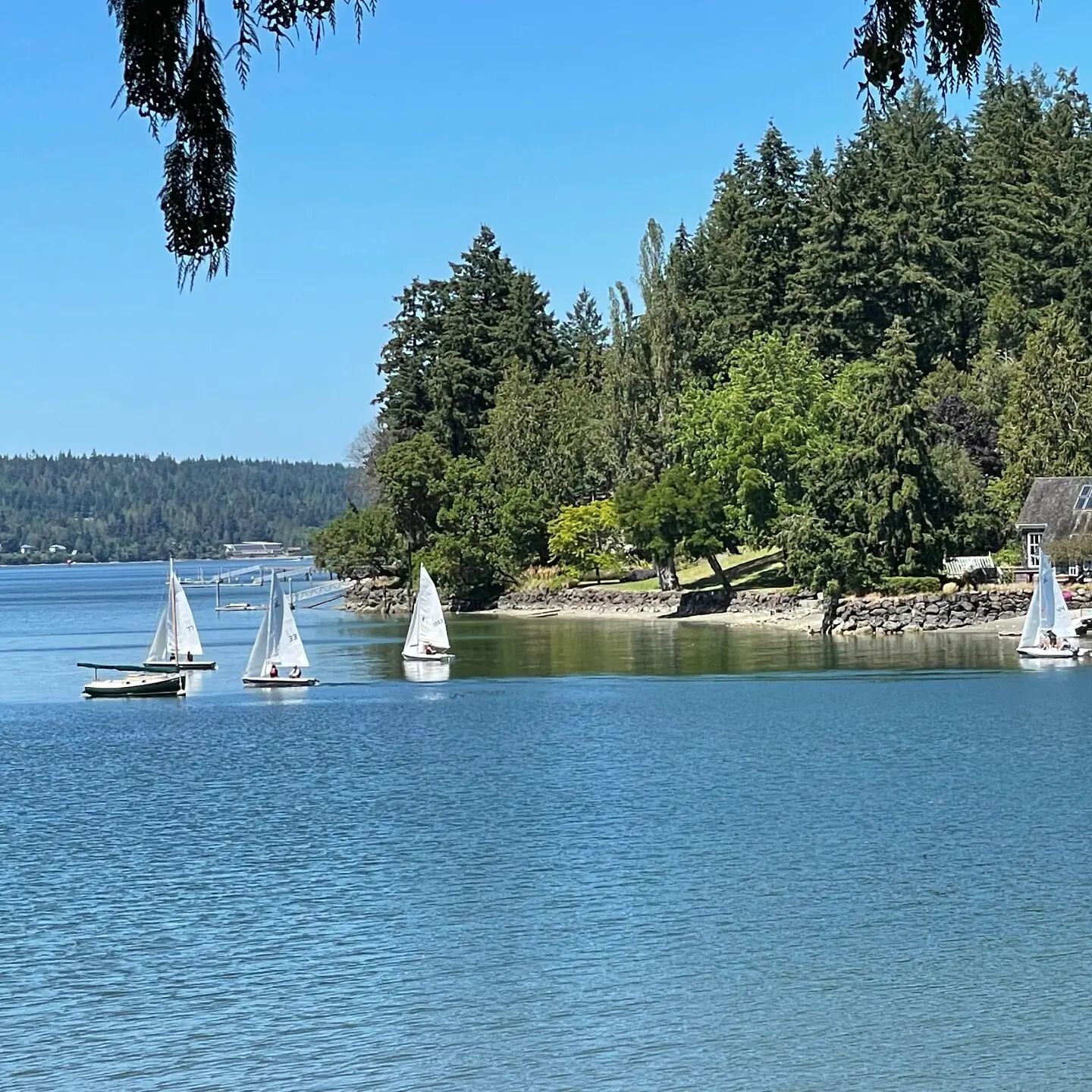 A flotilla! Another gorgeous day on the water.

We are fighting to preserve the tranquility of the bay and prevent the building of deep water docks that will likely cause irreversible harm to its delicate ecosystems. Join us.

If you haven't already 