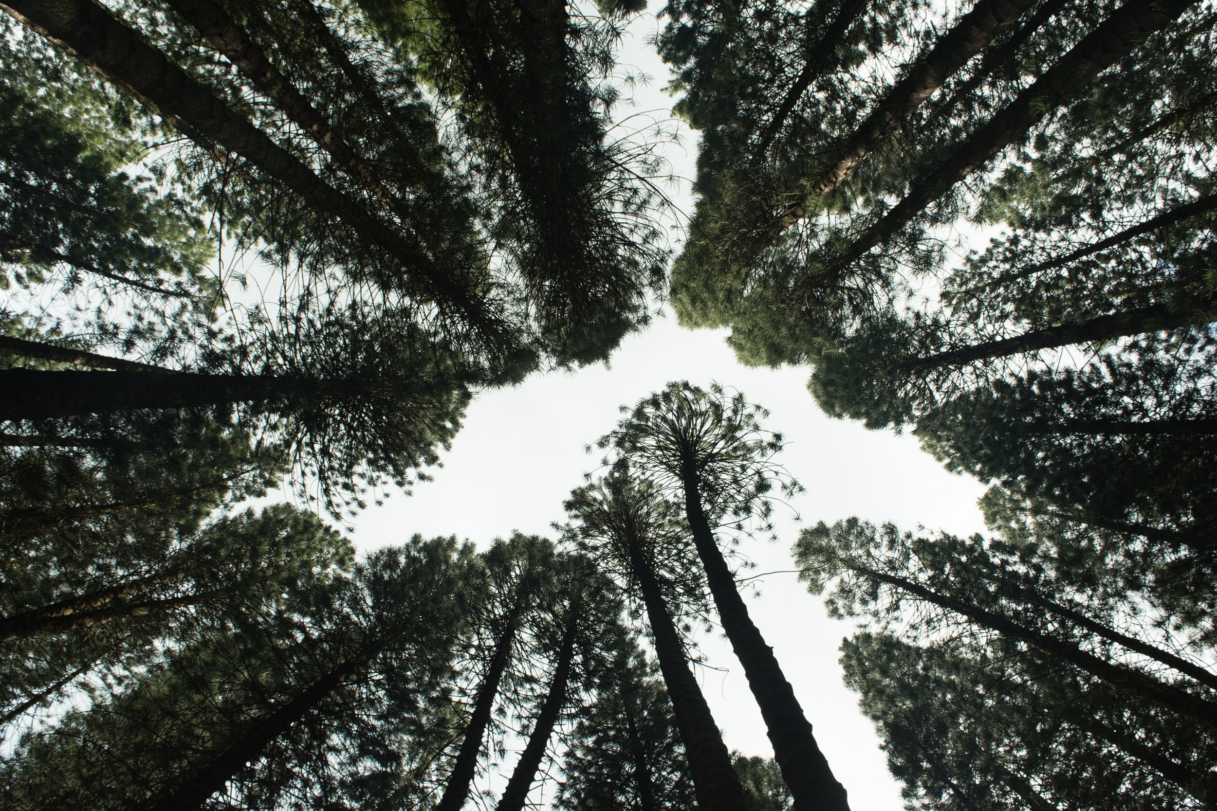 How Sustainable Is Your Packaging?