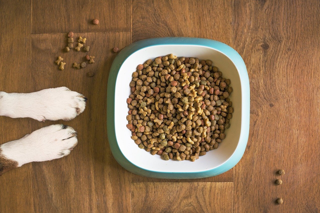 How A Pet Food Company Ships Sustainably