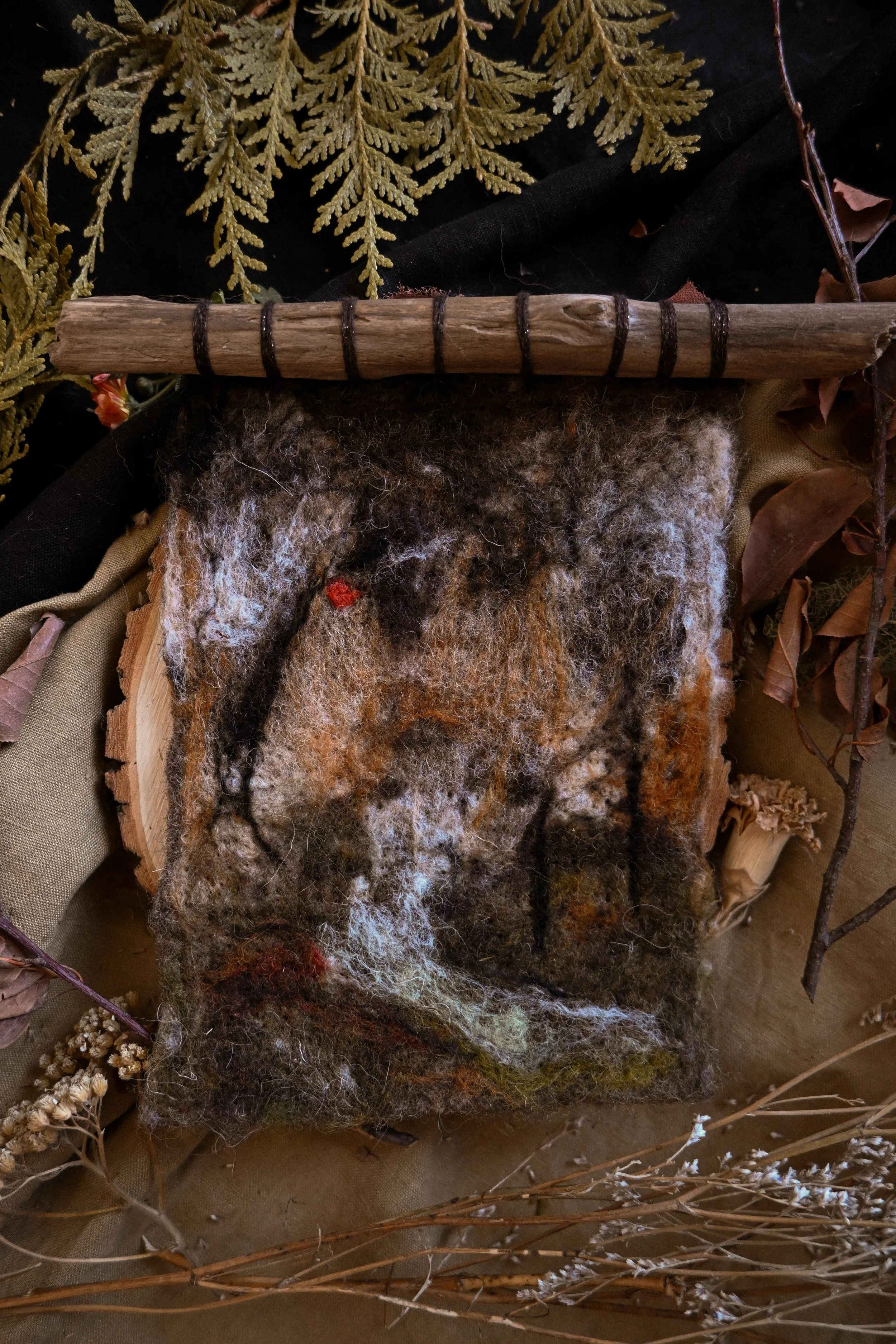 DSC_1429 2.JPG