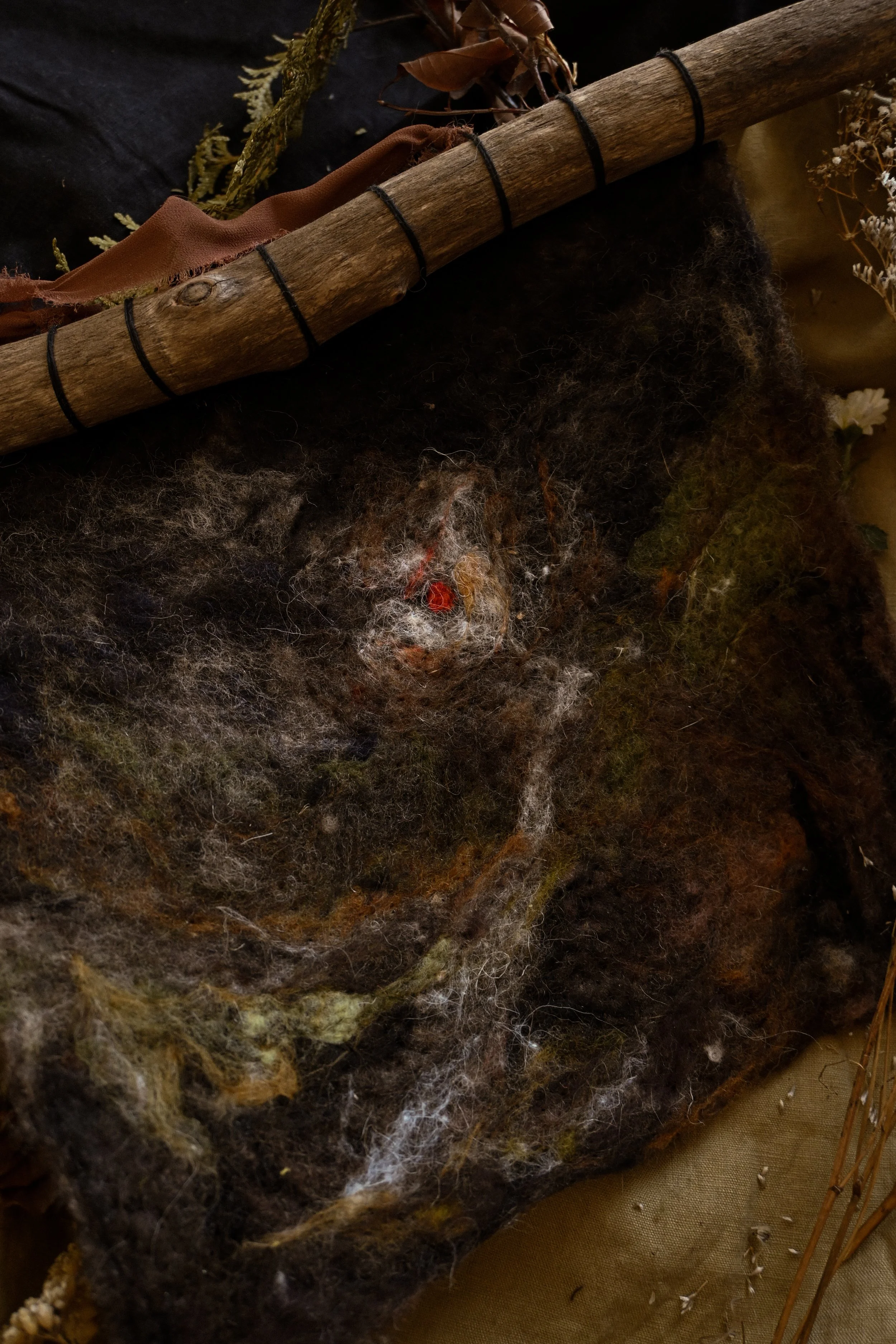 DSC_1353 2.JPG