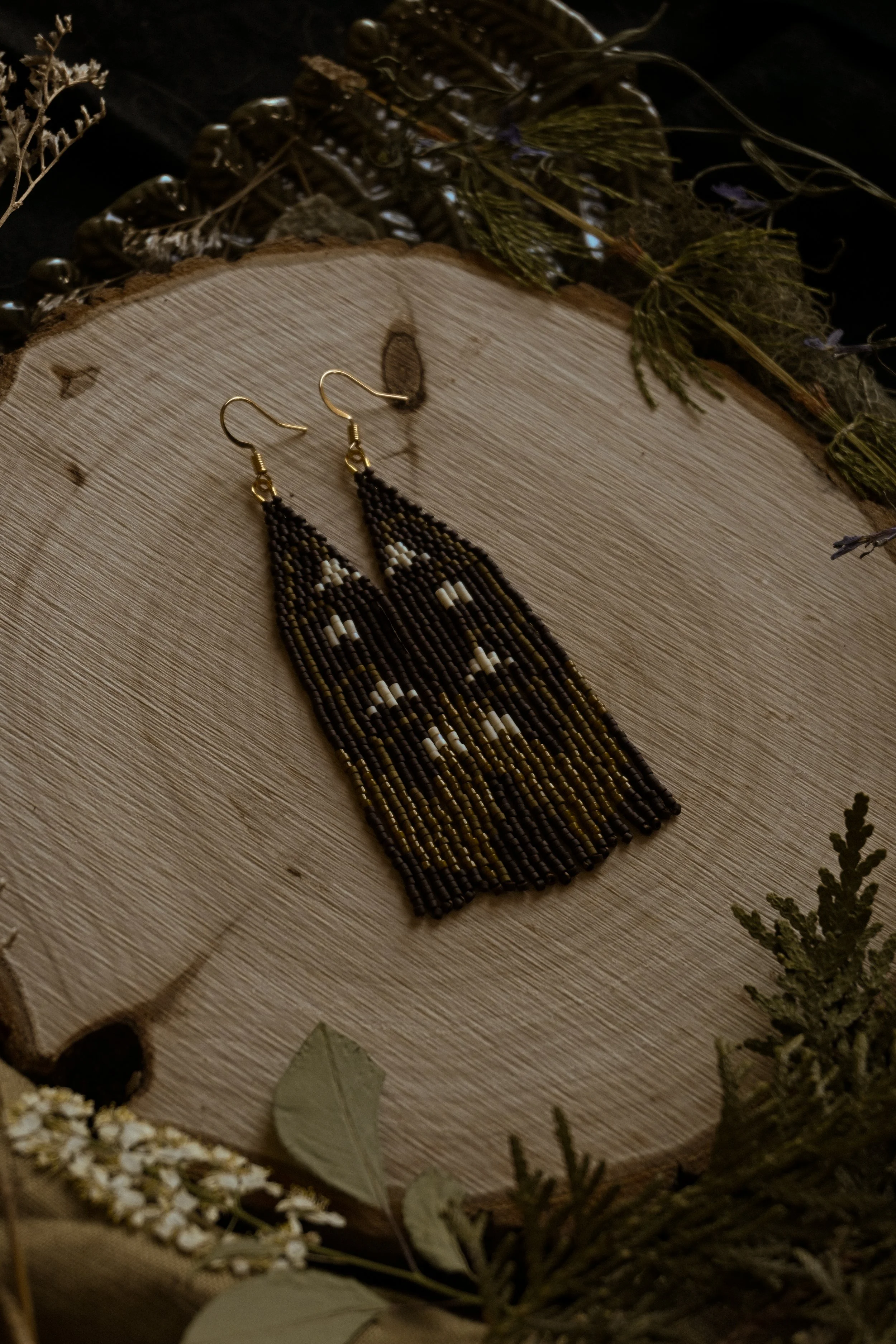 DSC_0566.JPG