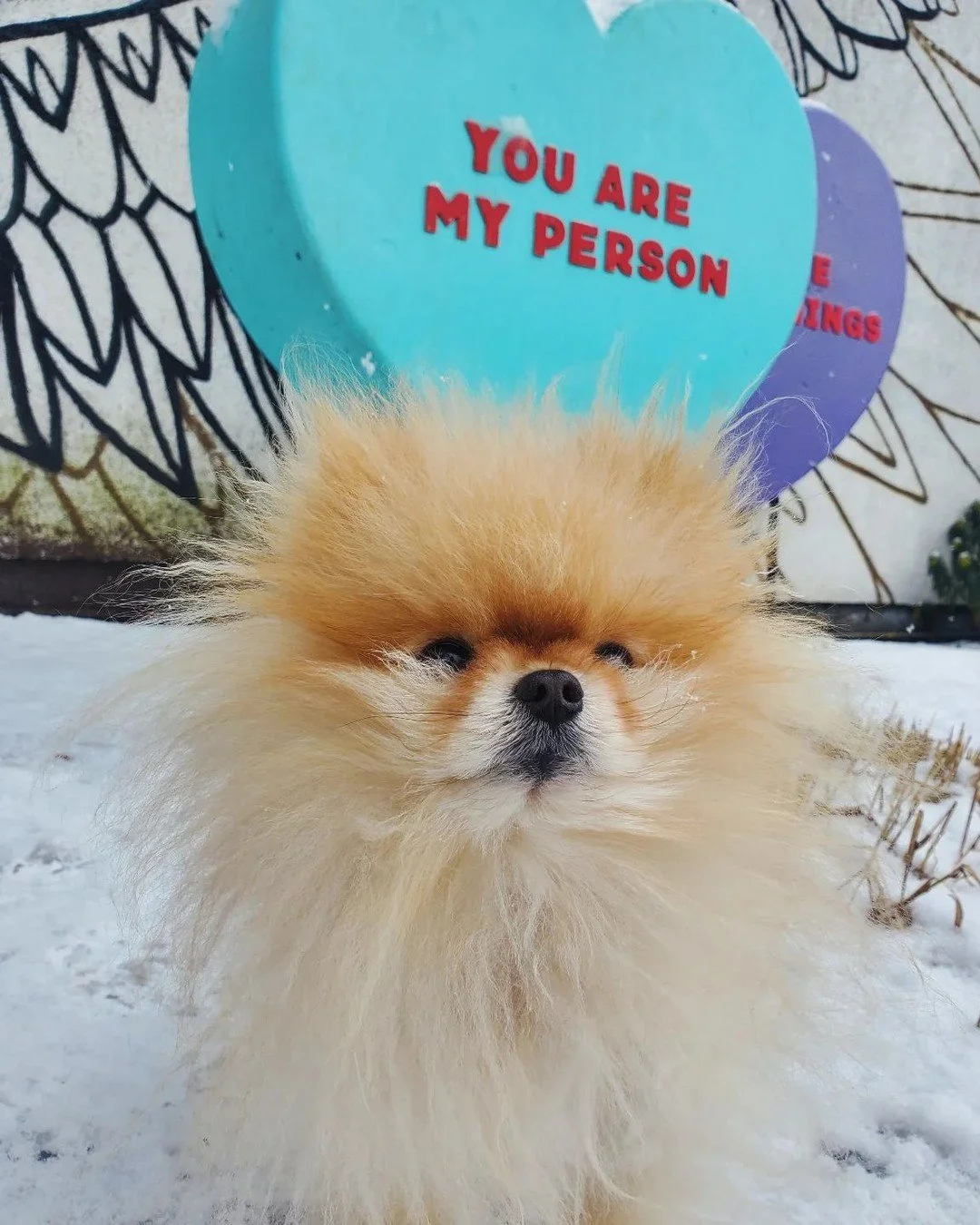 Here's where you can find on West 4th this month ❤️

Find these love installations on West 4th during the month of February to earn your Love Art &amp; Activation Stamp as part of the @loveyourcitycontest:

💜 Large Hearts at the KitsWings - Corner o