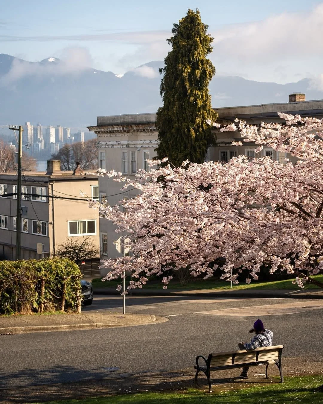 Ready for Kitsilano to be looking more like this again 🌸

Gorgeous photos from spring 2025 by @kaylapoch

#shopwest4th #kitsilano #vancouvercherryblossoms