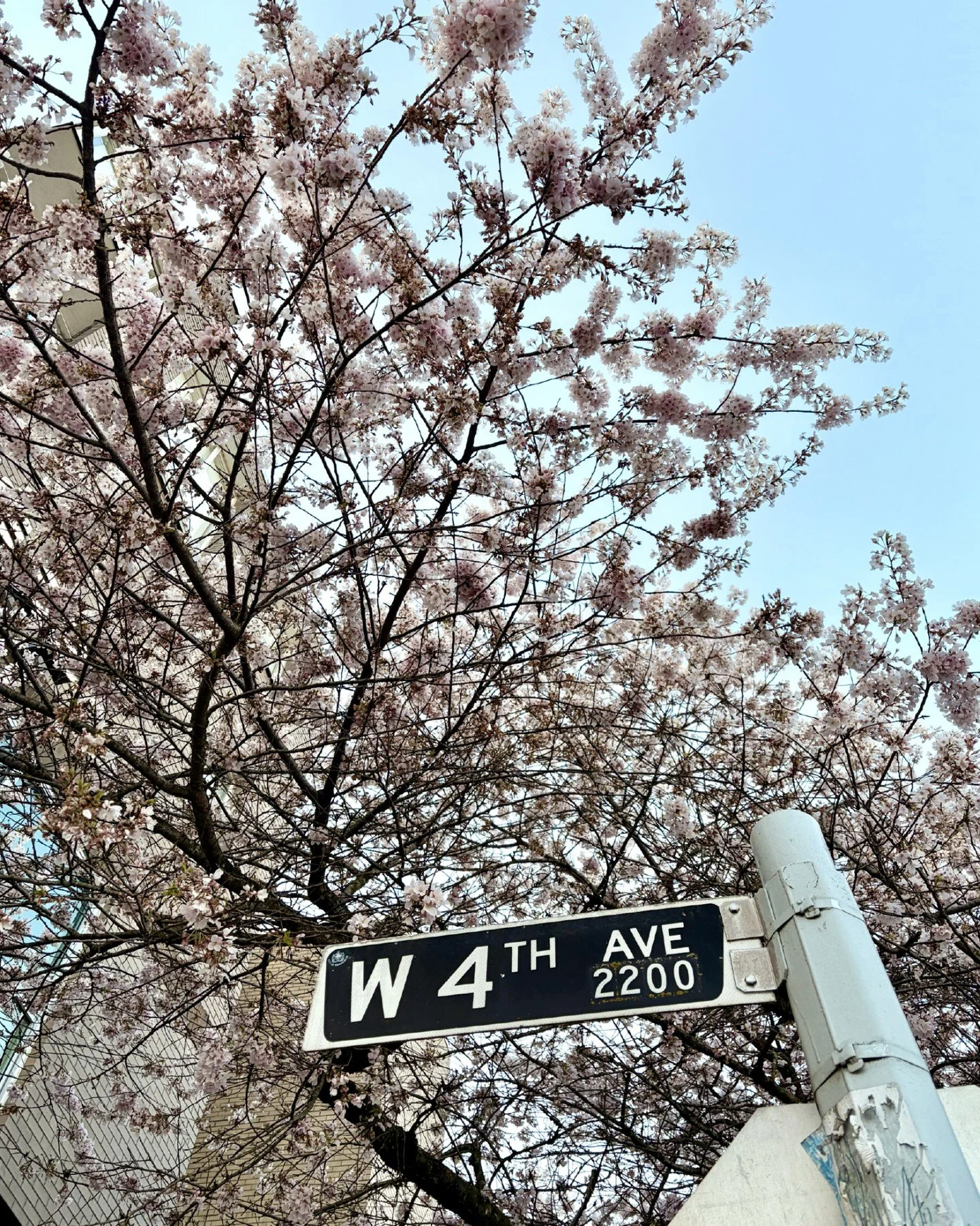 Only on West 4th 🌸

While we love the new exciting spots always opening in the neighbourhood - the first Reformation store in Western Canada, the new Aritzia in a gorgeous heritage building, and hello Sephora!!! - we also love the small, independent