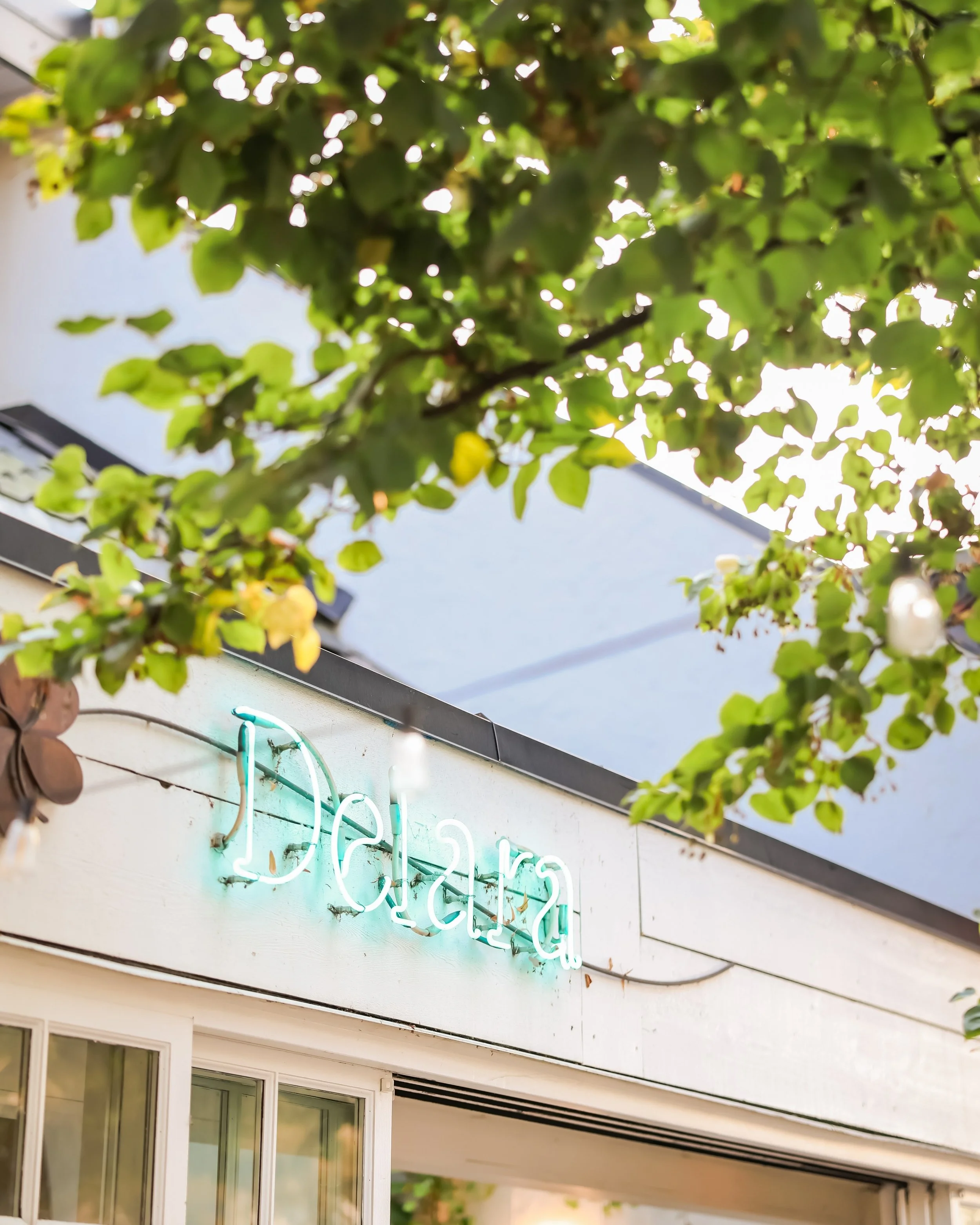 The vibes at @delararestaurant are 👌

West 4th is filled with amazing food and restaurants, but if you want amazing eats paired with even better vibes, Delara is the place to be. 

Their front seating area is gorgeous whether you're dining alone, or