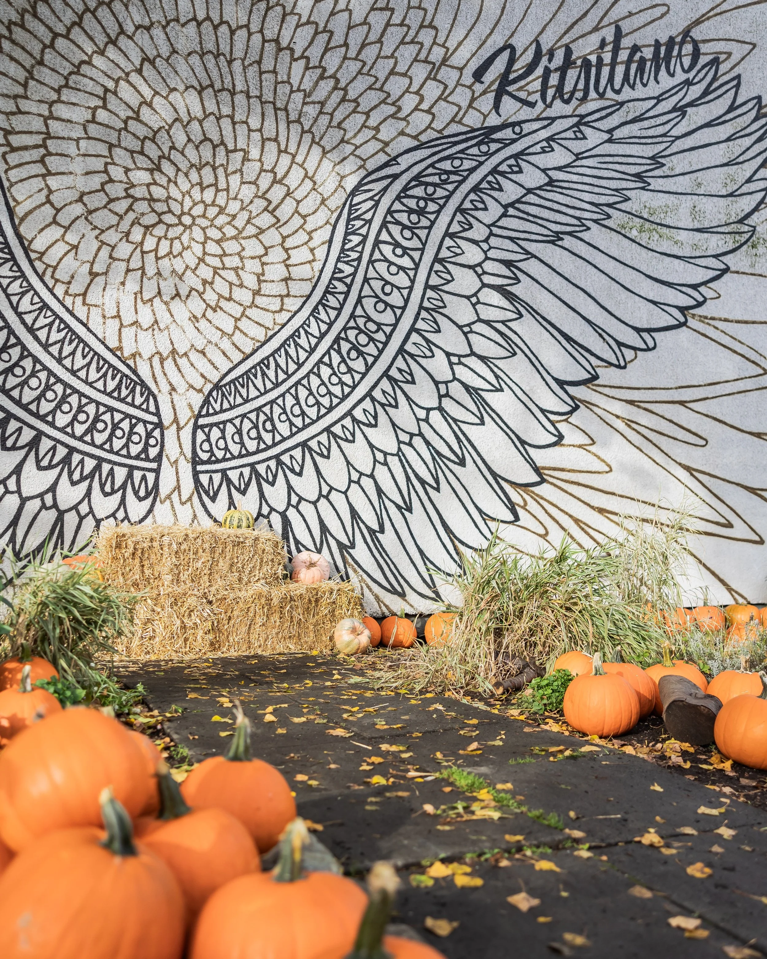 Our community pumpkin patch is ON NOW! 🎃 Come on down today, we'll be here until 3pm.

FREE pumpkins
FREE @benni.and.co dog treats
FREE @oohlaladonuts 
FREE professional photos

Plus a visit from @vanfirecharities and their vintage fire truck. Head 