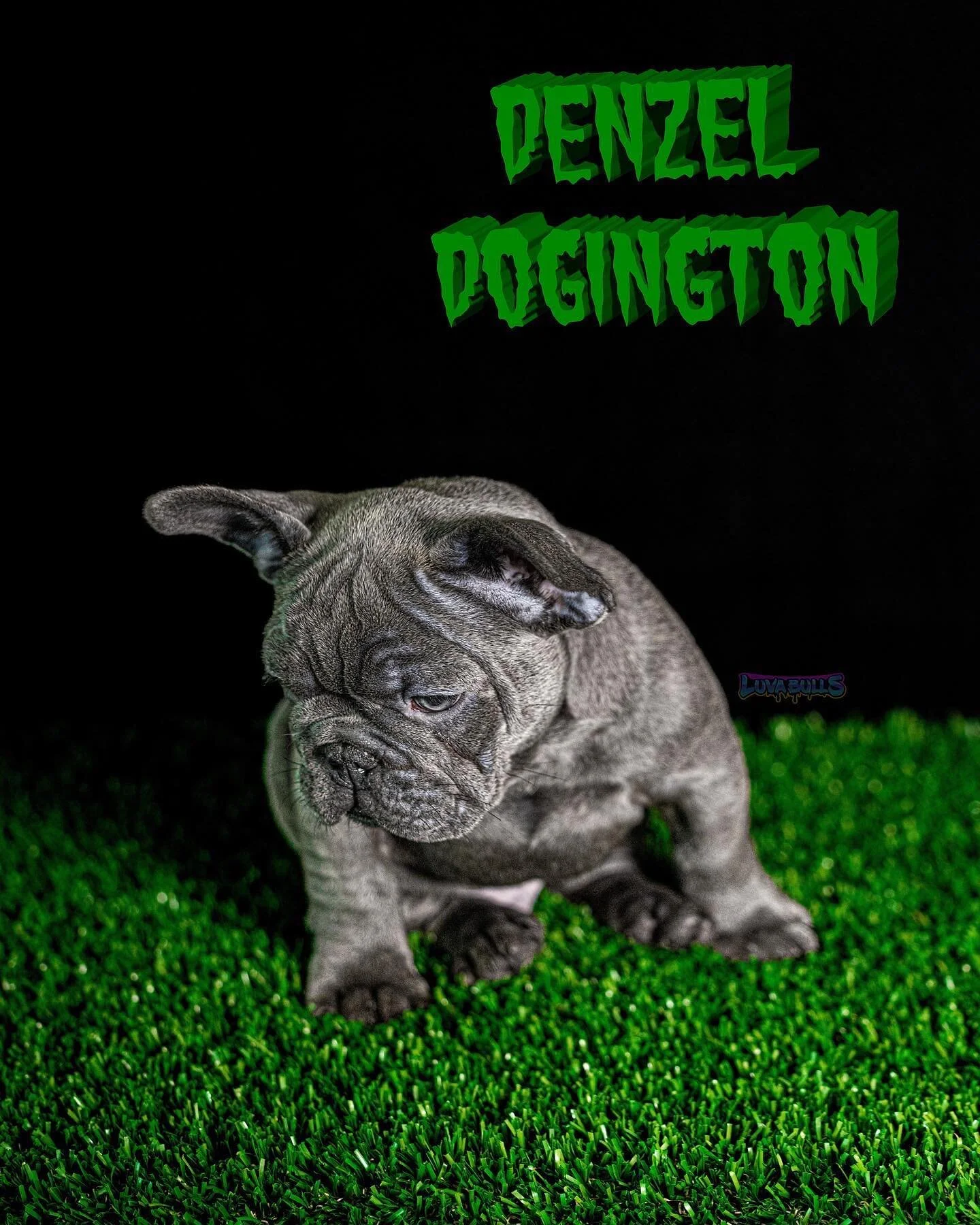 🪖 Dome 🪖

😡 Mug 😡

🍖 Bone 🍖

🧈 Spread 🧈

🚗 Compact 🚗

🩳 short 🩳

🦍10 x XB 🦍

🇭🇺 2 x Guatav 🇭🇺

🌱Seuss Seed 🌱

🧪Grinchie 🧪

🍫 cocoa carrier 🍫

💖 #LBpinky 💖 X 🦍 #XBMuggsy 🦍

📲 Contact for info on 🦍

👇🏼👇🏼👇🏼👇🏼👇🏼👇?