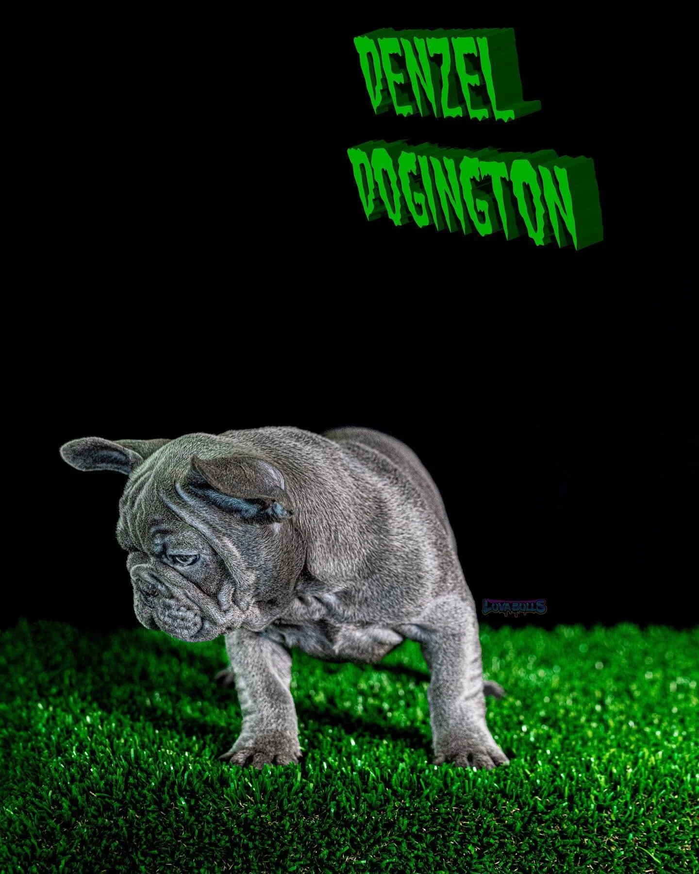 &ldquo;You in the office, baby!&rdquo;

- Training Day 

📲 Contact for 🏡 info 📲

👇🏼👇🏼👇🏼👇🏼👇🏼👇🏼👇🏼👇🏼👇🏼

💙🦍 LuvaBulls.us 🦍💙

☝🏼☝🏼☝🏼☝🏼☝🏼☝🏼☝🏼☝🏼☝🏼