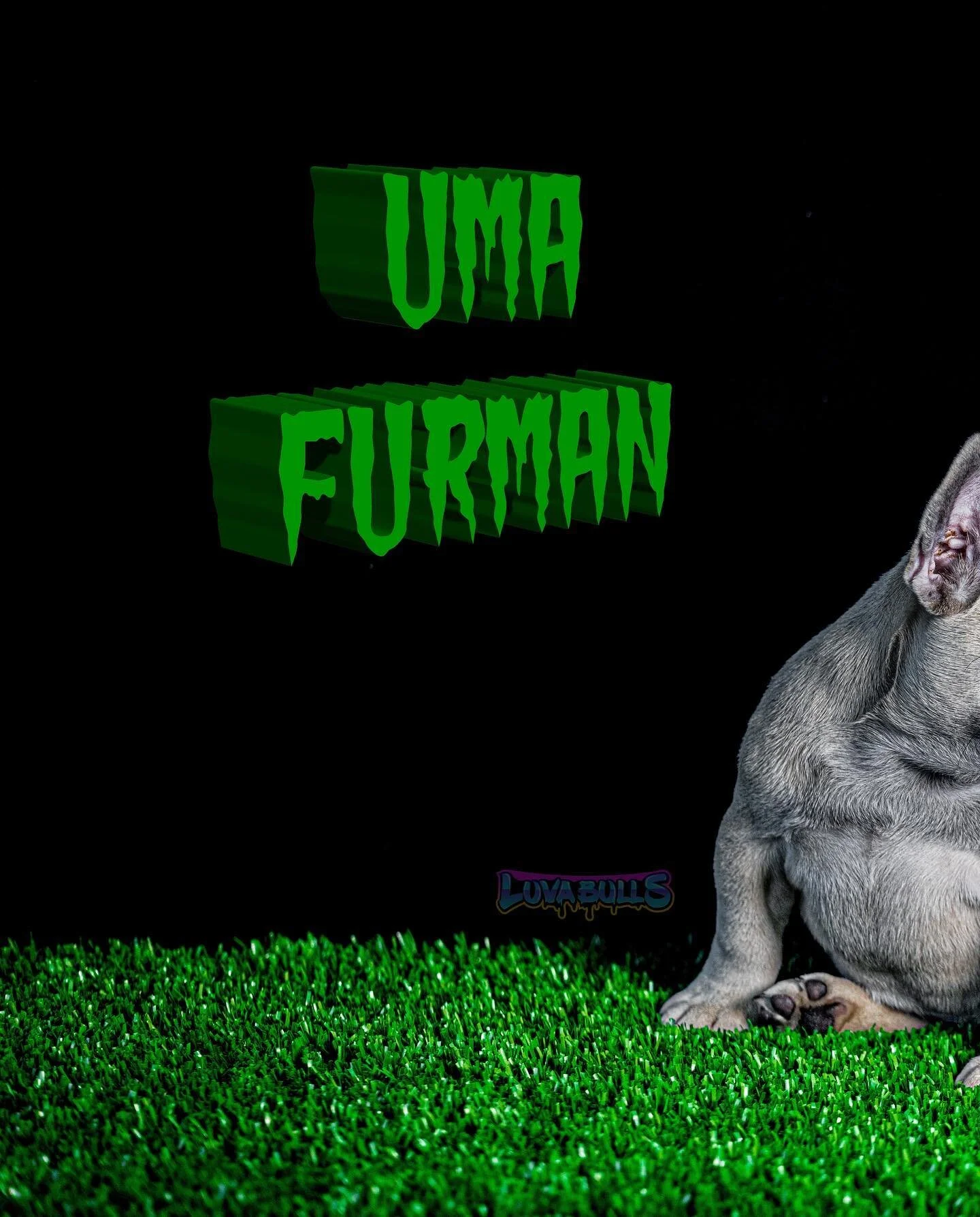 🦍Quality Functional mini Xtreme 🦍

🦴Big Bone 🦴 

🪖Dome 🪖

👐🏼 Chest Spread 👐🏼

🛏 so much spread it&rsquo;s putting mf to bed 🛏

💪🏼Muscled Up 💪🏼

🪢 Real Rope 🪢

👇🏼👇🏼👇🏼👇🏼👇🏼👇🏼👇🏼👇🏼

💙🦍LuvaBulls.us 💙🦍

👆🏼👆🏼👆🏼👆🏼