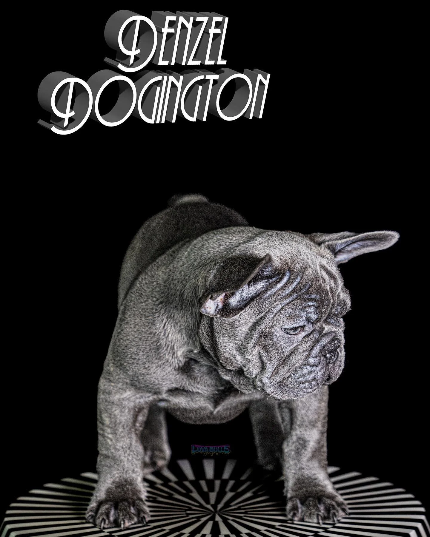 ⛔️ WARNING ⛔️

🦍Objects in photos may be smaller than they appear 🦍

💪🏼 Big Features 💪🏼

🤏🏼 Tiny Frame 🤏🏼

🍖 Big Bone 🍖

🪖Massive Dome 🪖

😡 Mug 😡

👂🏼Separation 👂🏼

🏆 Stacked Ped 🏆

🍫 cocoa carrier 🍫

📲Contact @luvabulls.az fo