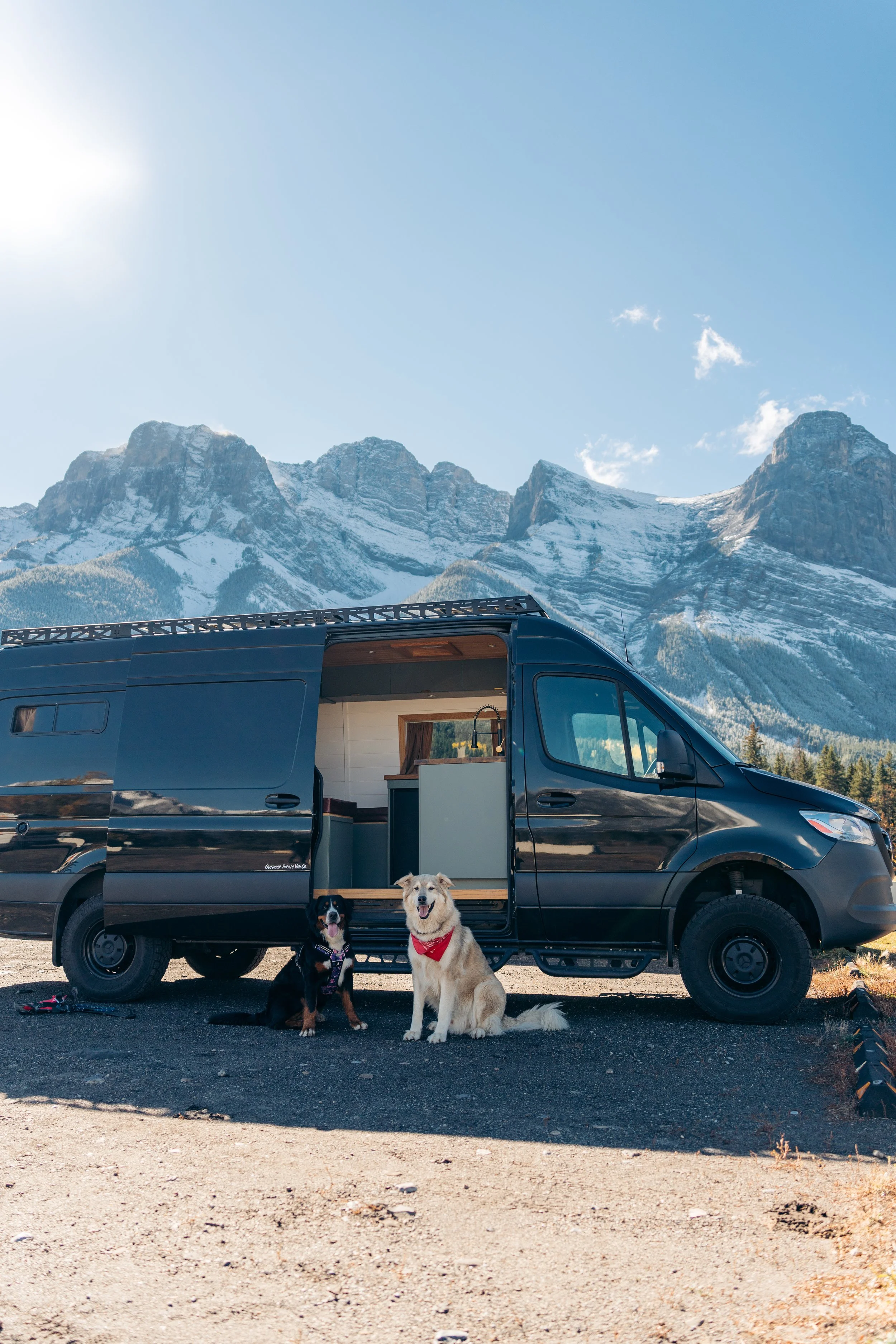 Black camper van with an open side door revealing interior, parked in front of snow-capped mountains under a clear blue sky, with two dogs sitting on the ground in front of the van.
