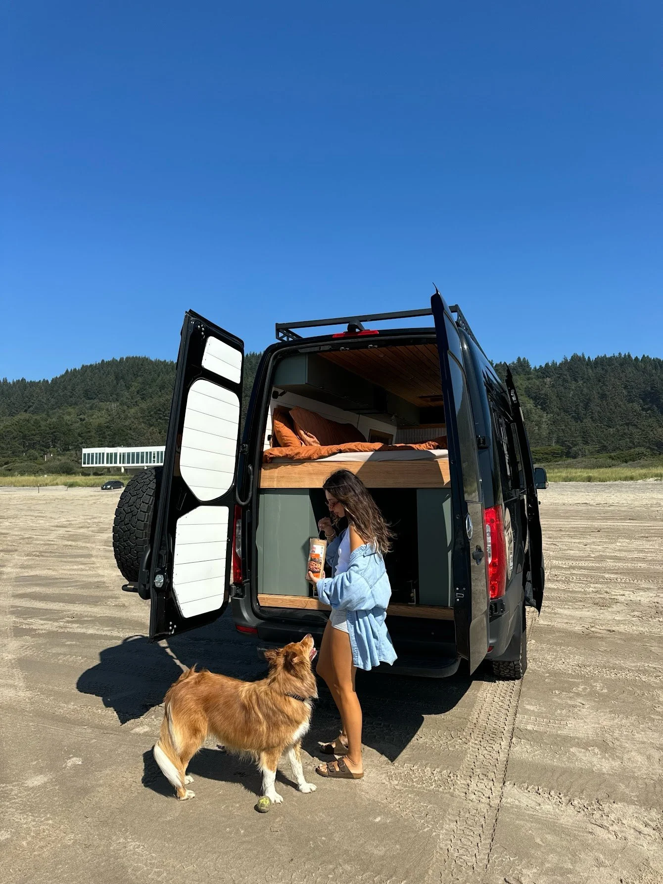 A young woman with a dog standing outside a black camper van on a sandy beach or desert, with a bed and interior visible inside the van, green hills in the background, and clear blue sky.
