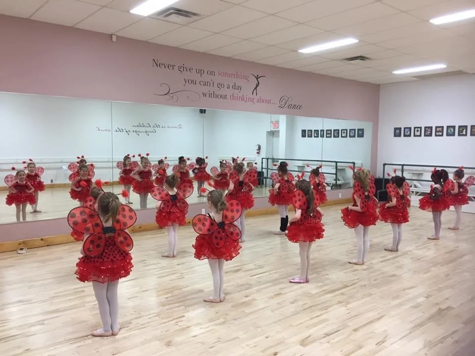 Those lovely ladybug costumes are a favourite! (2017)