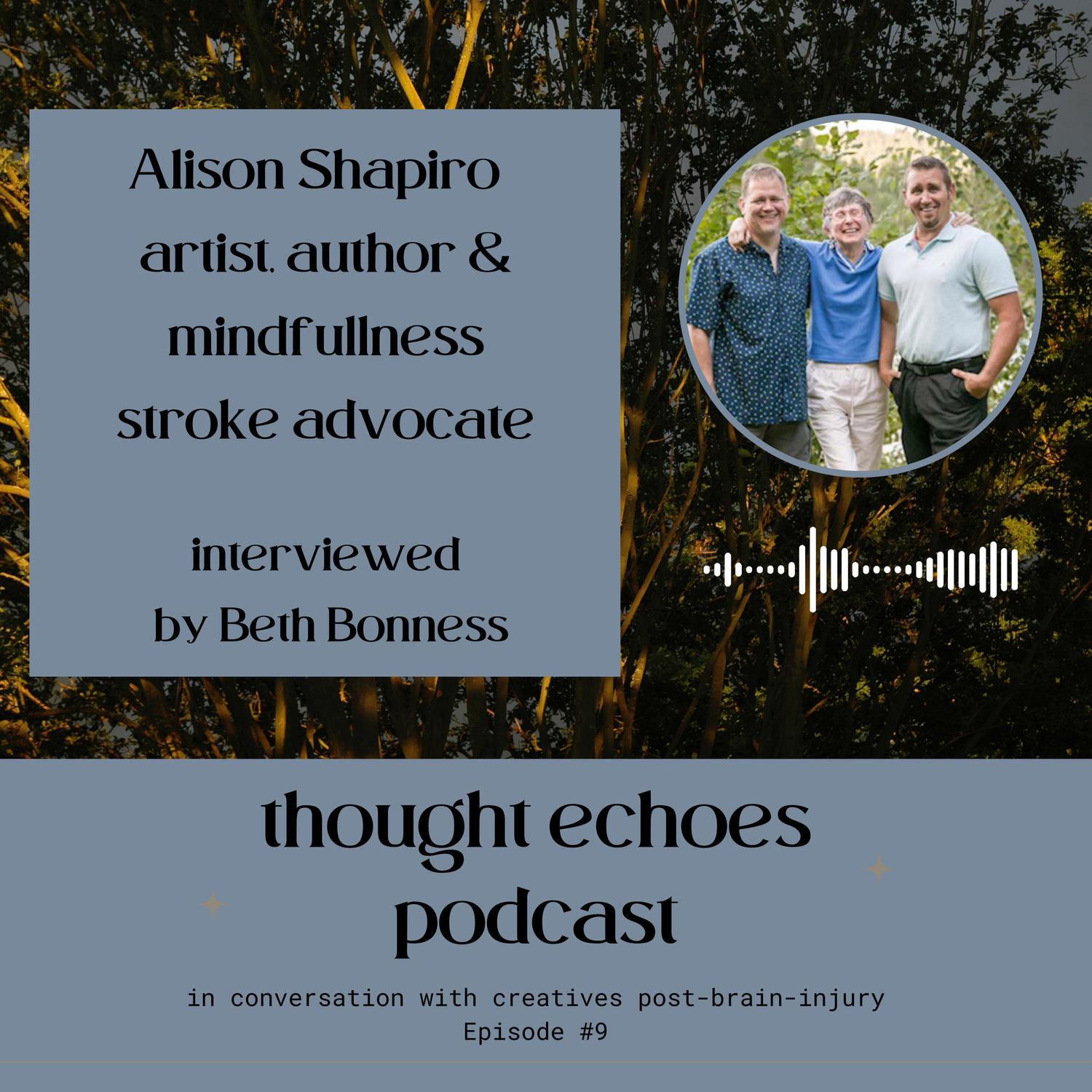 Teaching People to Build Positive Stories With Alison Shapiro episode artwork