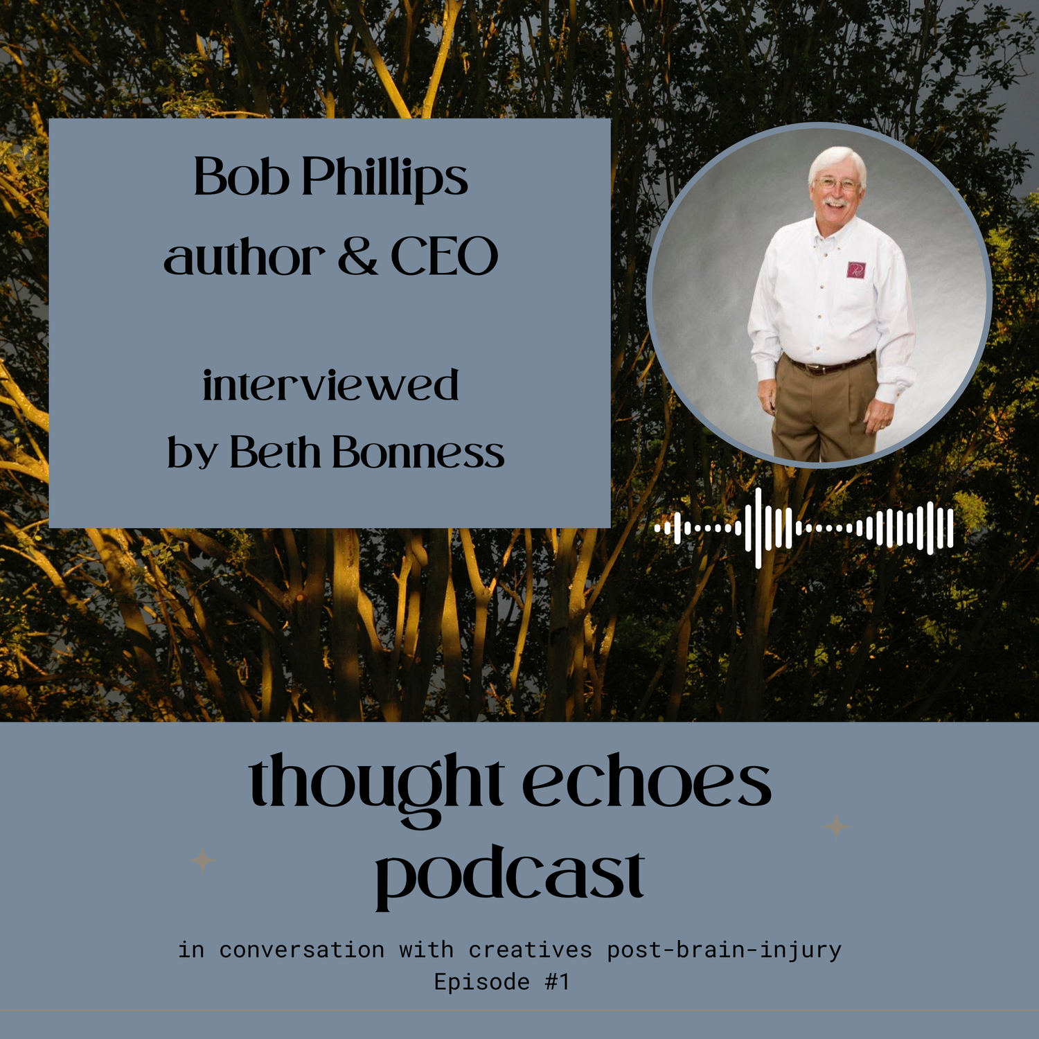 Life After a Concussion With Bob Phillips episode artwork