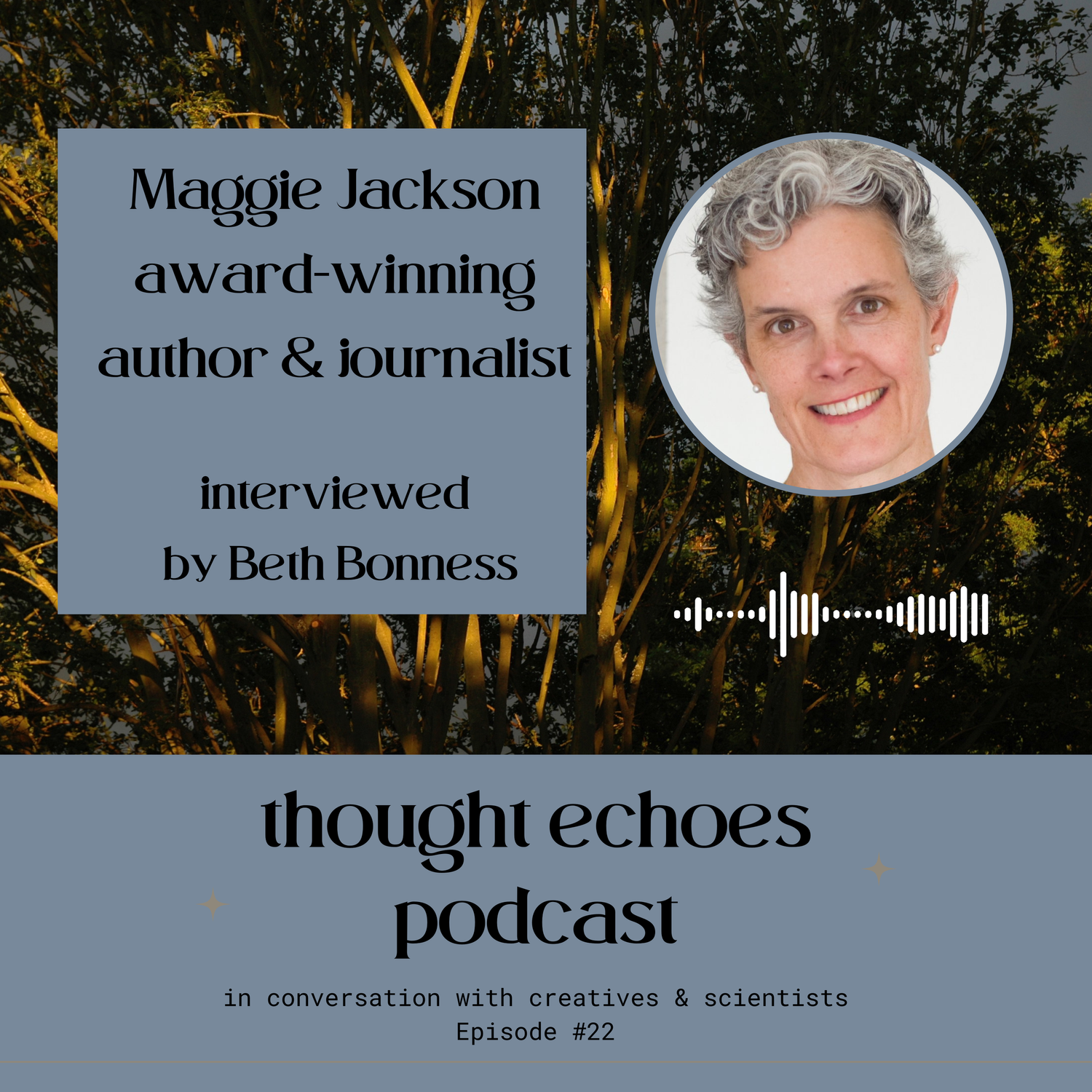 Maggie Jackson: uncertainty is both a space of possibilities and a state of wakefulness episode artwork