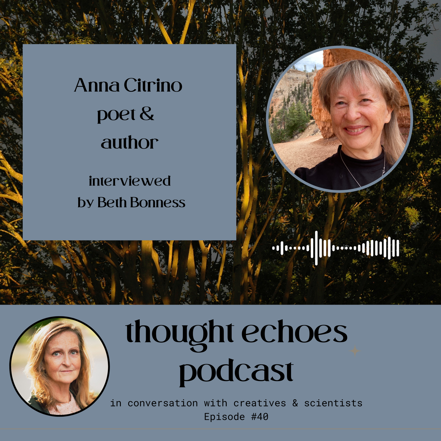 Play Anna Citrino: what are the stories that shape us?