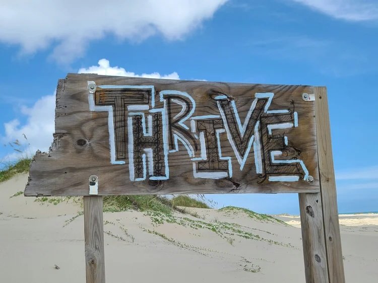 What does it mean to thrive in a world with AI?