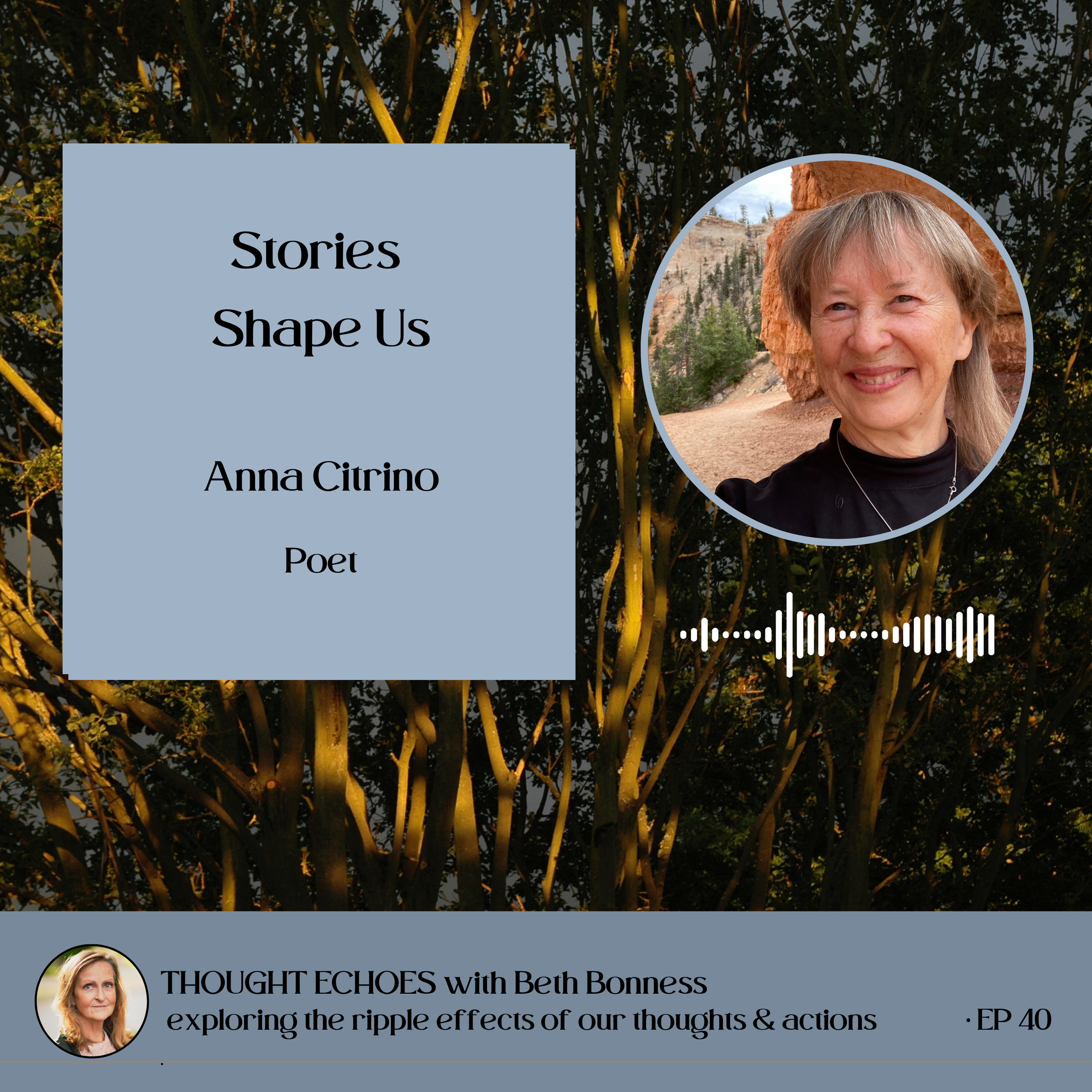 What Are the Stories That Shape Us? | Anna Citrino