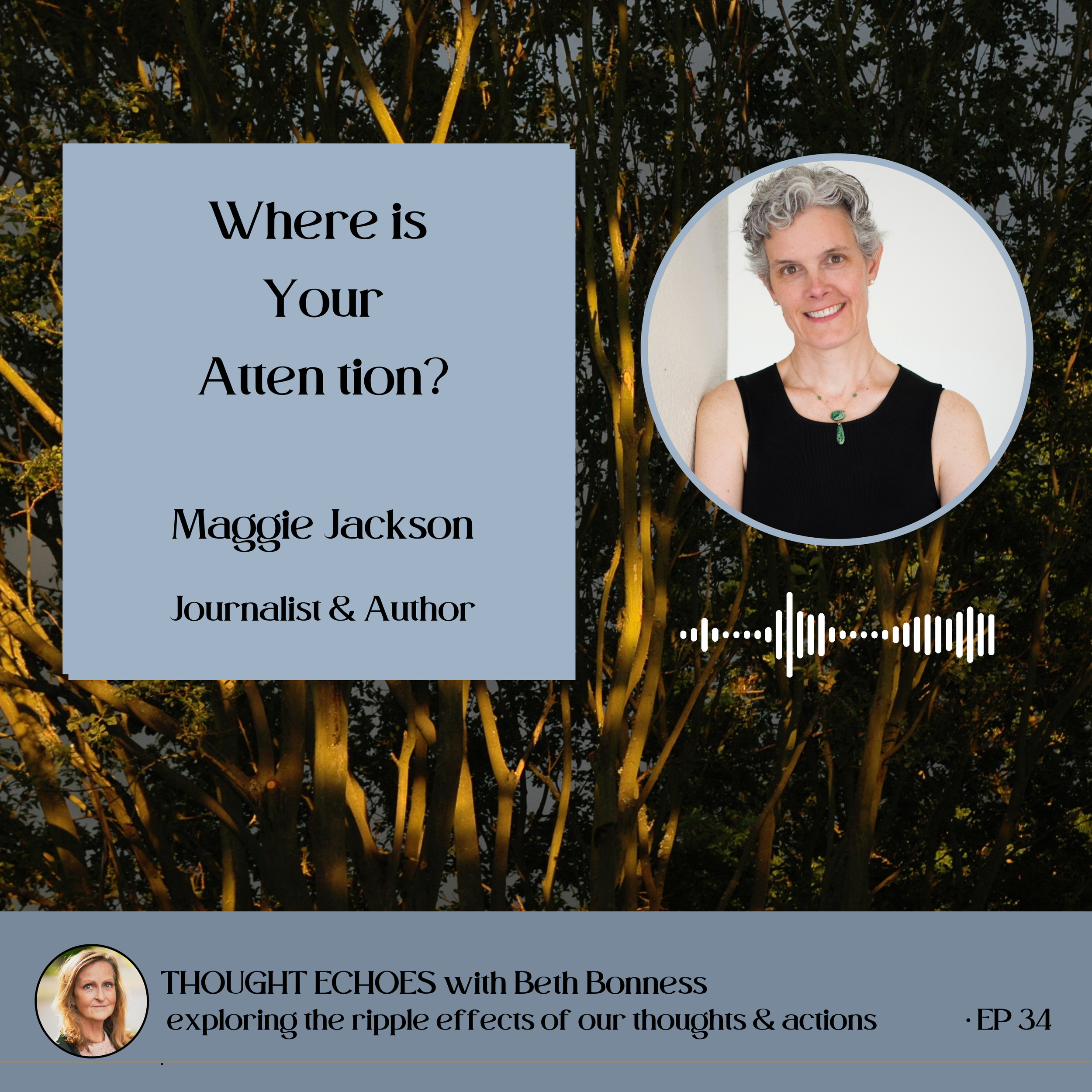What Are You Paying Attention To? | Maggie Jackson
