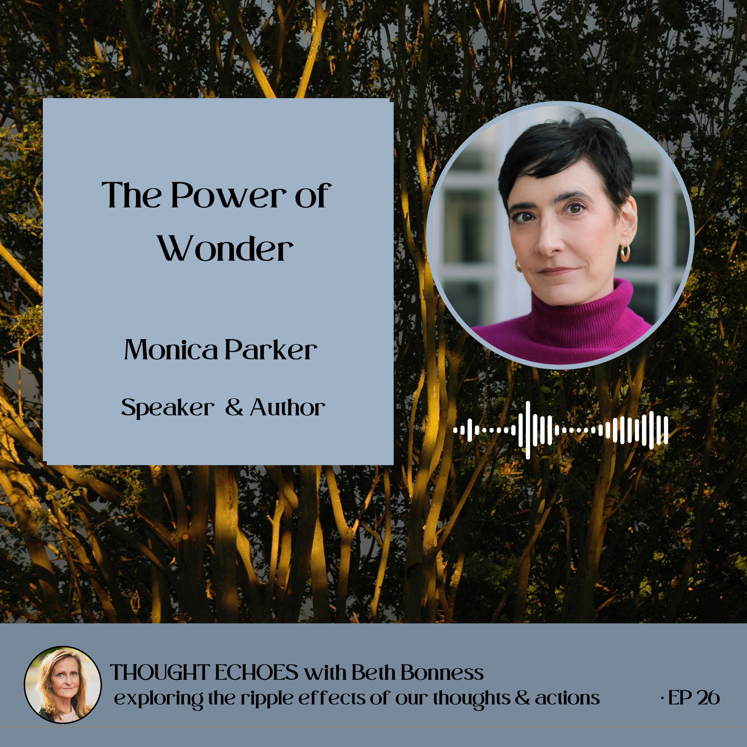 The Power of Wonder Enriches Lives | Monica Parker