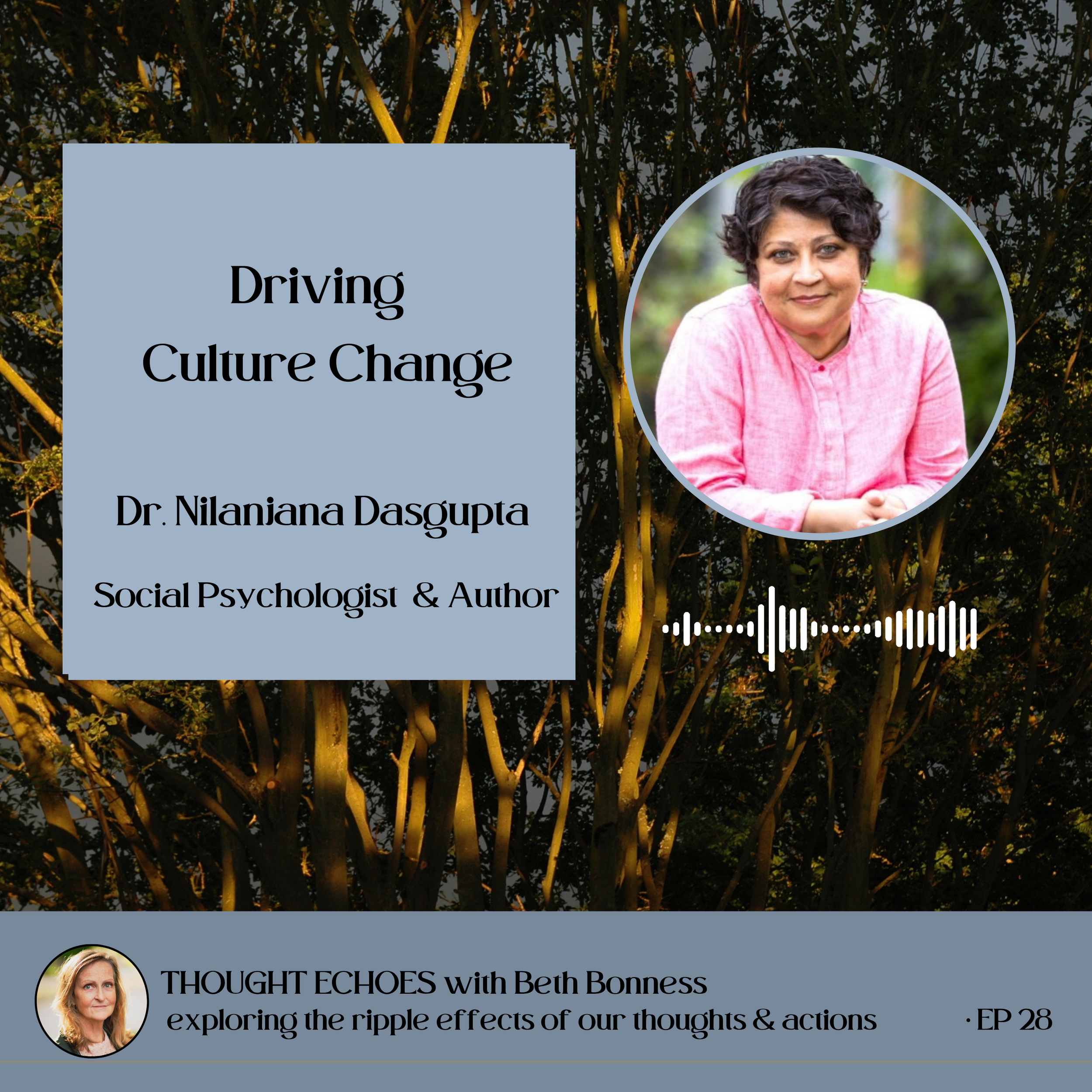Driving Culture Change | Dr. Nilanjana Dasgupta