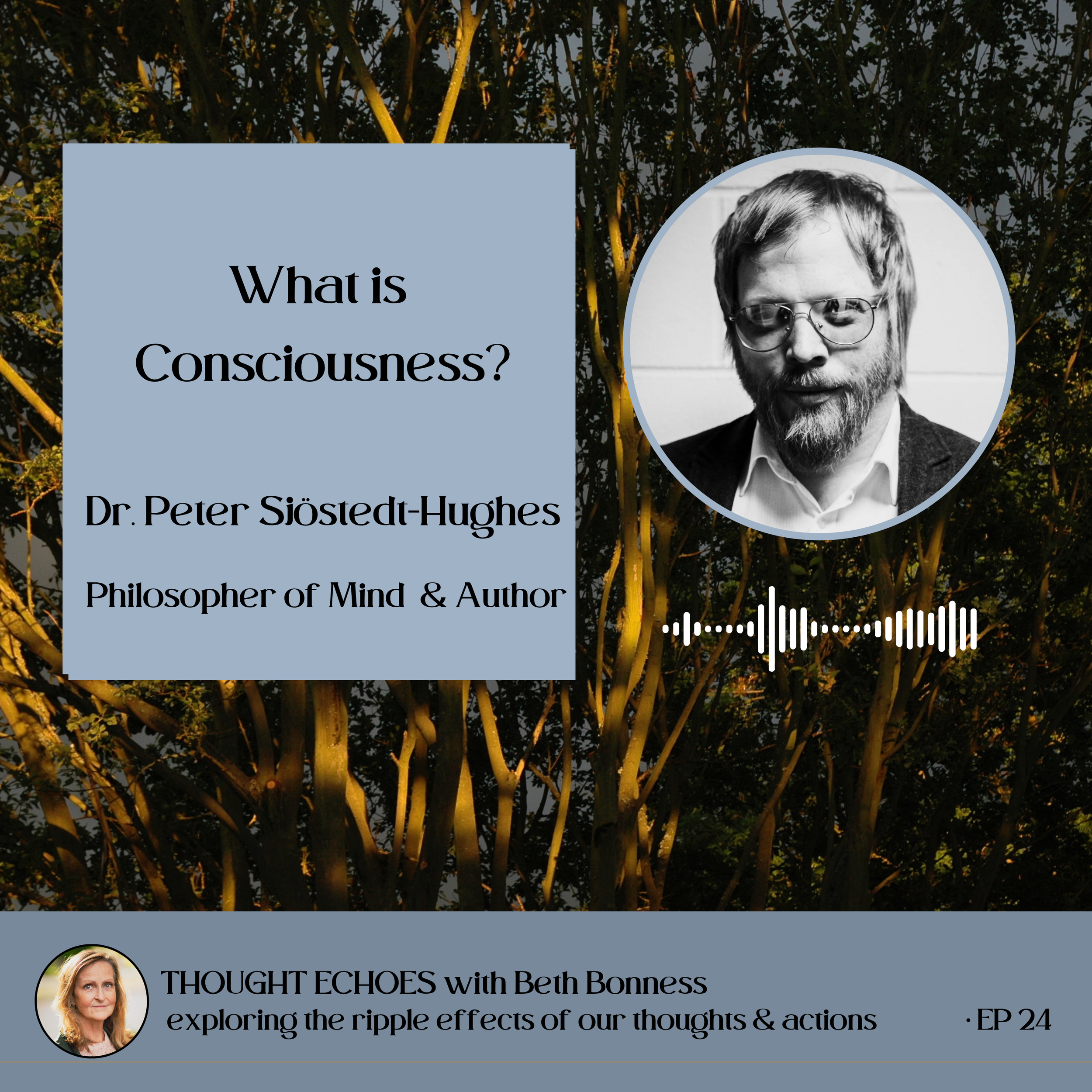 Exploring Consciousness | Dr. Peter Sjöstedt-Hughes