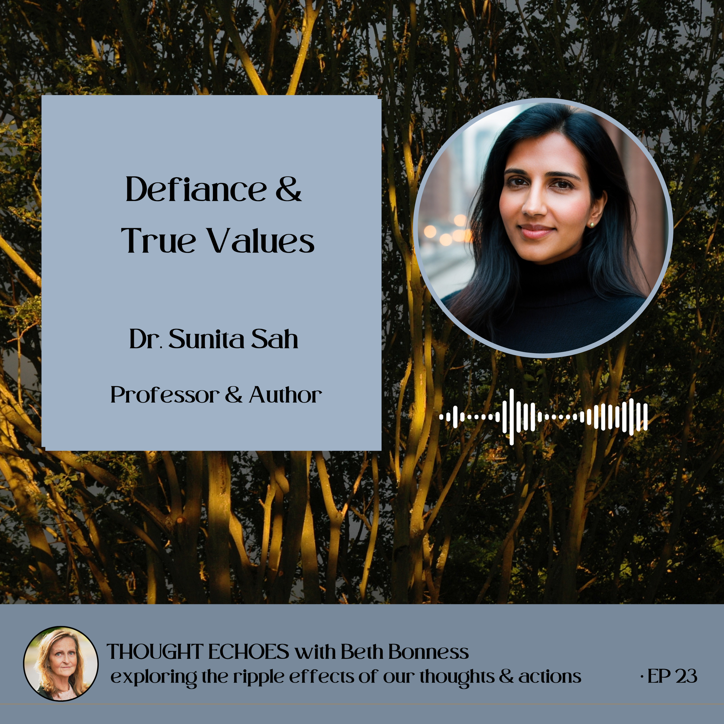 Defiance As Acting in Accordance with Your Values Under Pressure | Dr. Sunita Sah