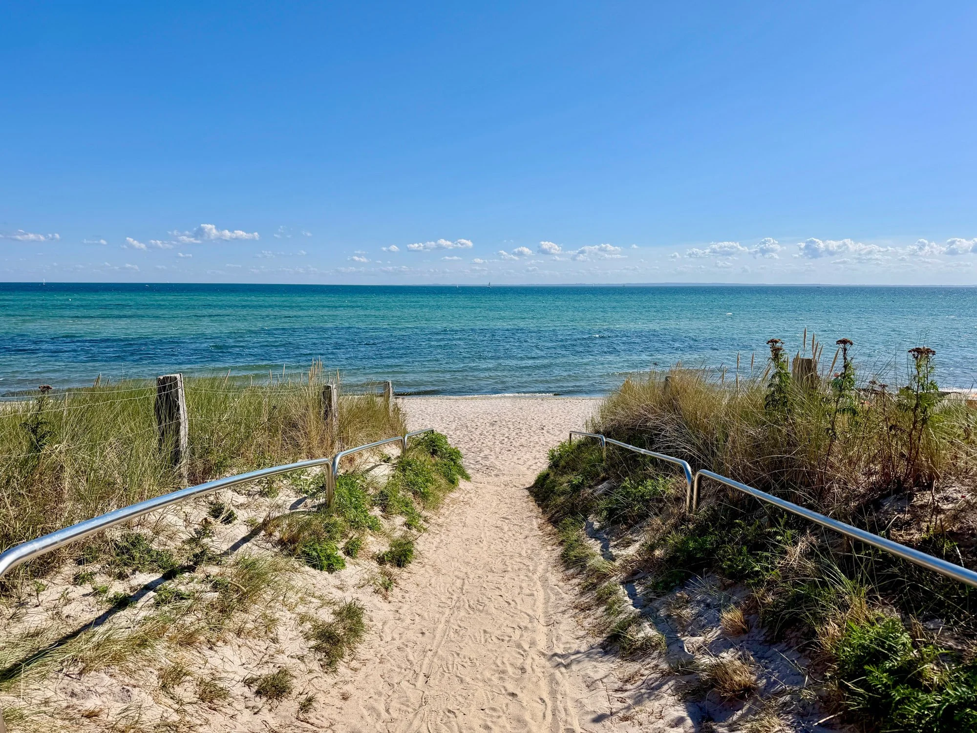 The_Lazy_Moewe_Lensterstrand.jpg