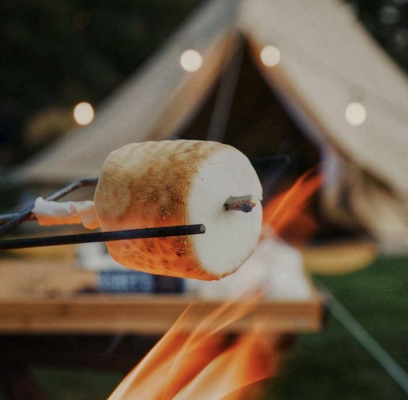 Marshmallow being roasted over an open flame with a tent in the background.