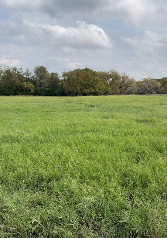A wide open grassy field with a line of trees in the background under a partly cloudy sky.
