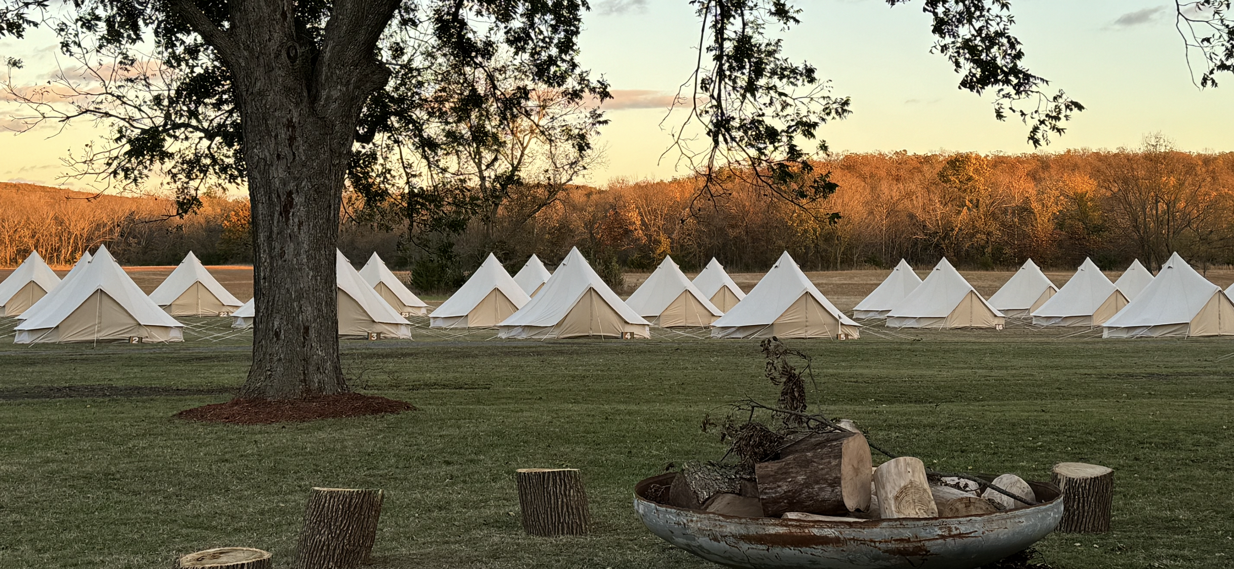 A large outdoor field at sunset with the sky painted in soft pinks and oranges, lined with white canvas tents arranged in rows, surrounded by a forest of trees with falling leaves, and a large tree in the foreground beside a metal fire pit filled with chopped wood.