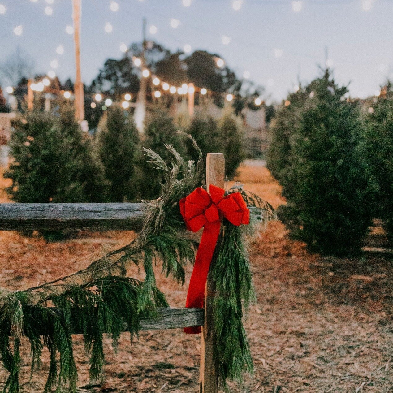 Looking for some Holiday cheer!? 🎅🎄We have three fun holiday activities for you!⁠
⁠
1. Visit @thehunterfarm! Enjoy a petting farm, pick your Christmas tree, and enjoy other holiday events 🐑⁠
⁠
2. Light the Knights with @knightsbaseball! Includes a